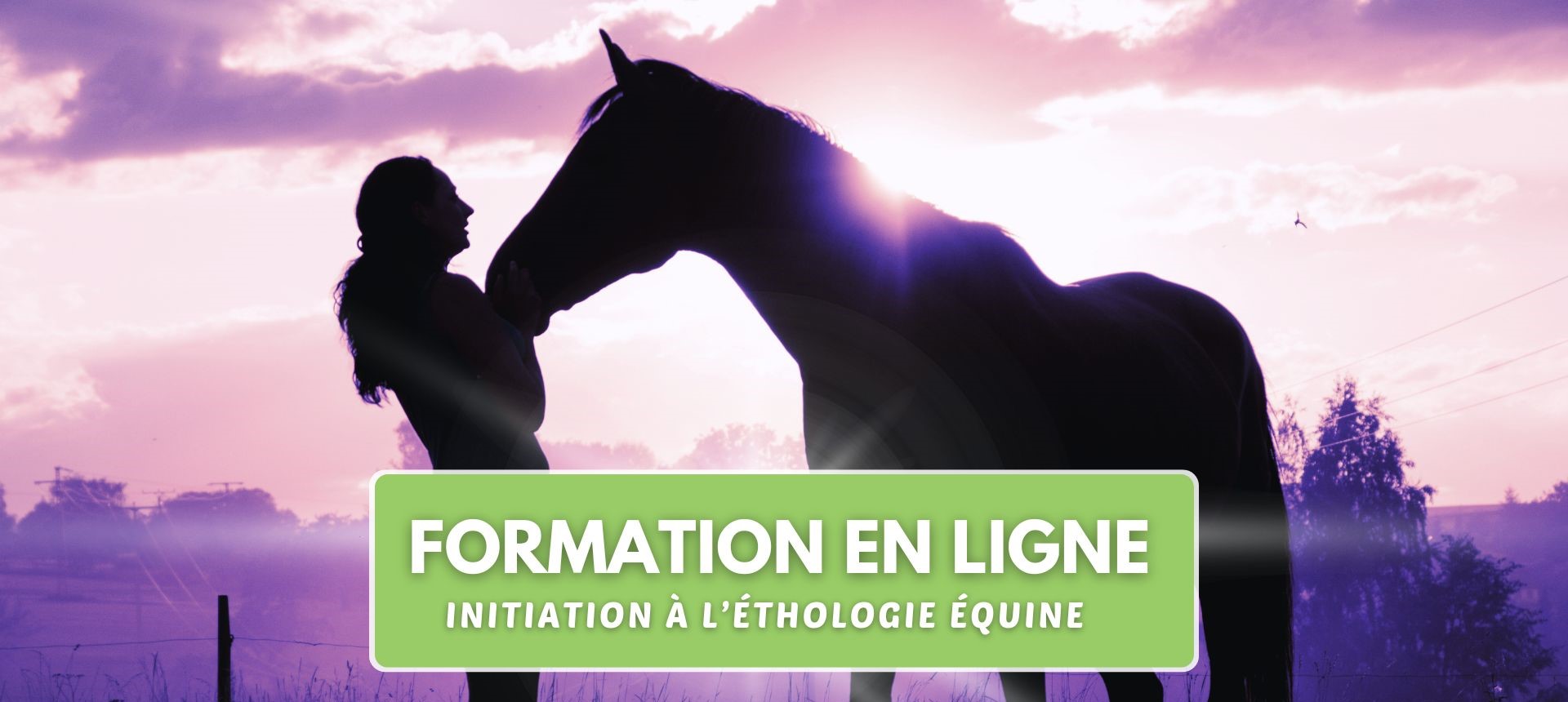 Formation en ligne Initiation à l'Éthologie Équine